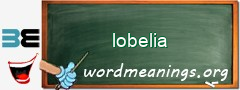 WordMeaning blackboard for lobelia